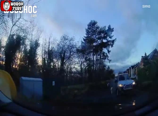 Video :He fastens his dogs to his rearview mirrors so he can walk them
